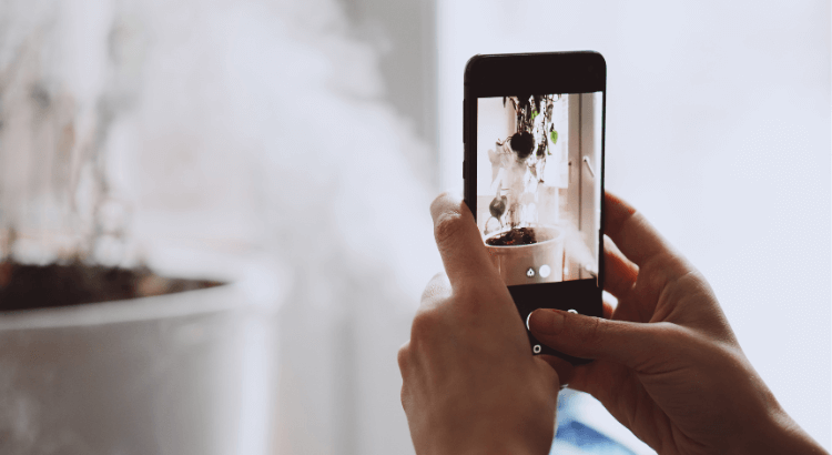 Consejos para mejorar sus habilidades fotográficas con teléfonos inteligentes